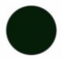 darkgreen45